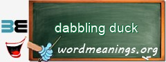 WordMeaning blackboard for dabbling duck